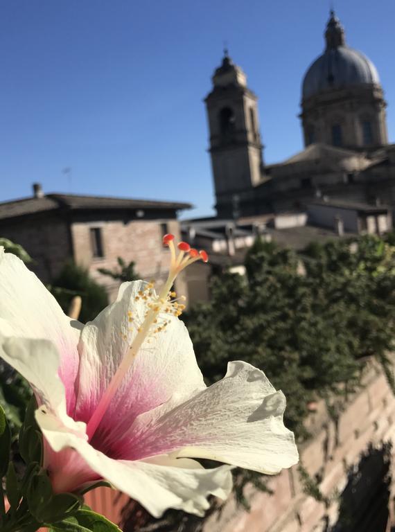 Il Cantico * Assisi