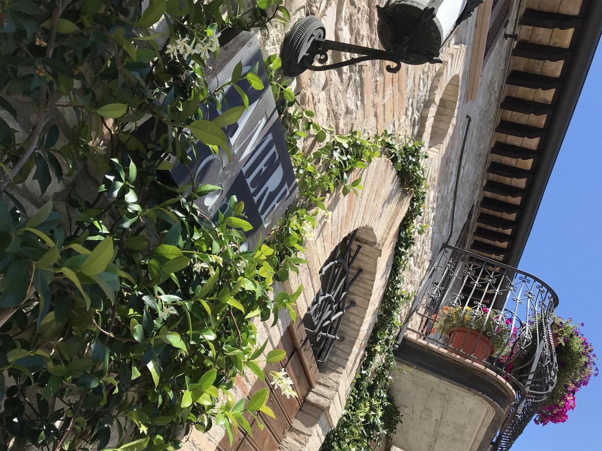 Il Cantico Assisi